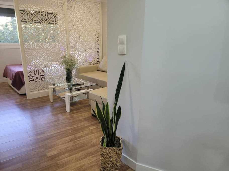 Apartamento Lirio De Agua Granada Centro Apartment Bagian luar foto
